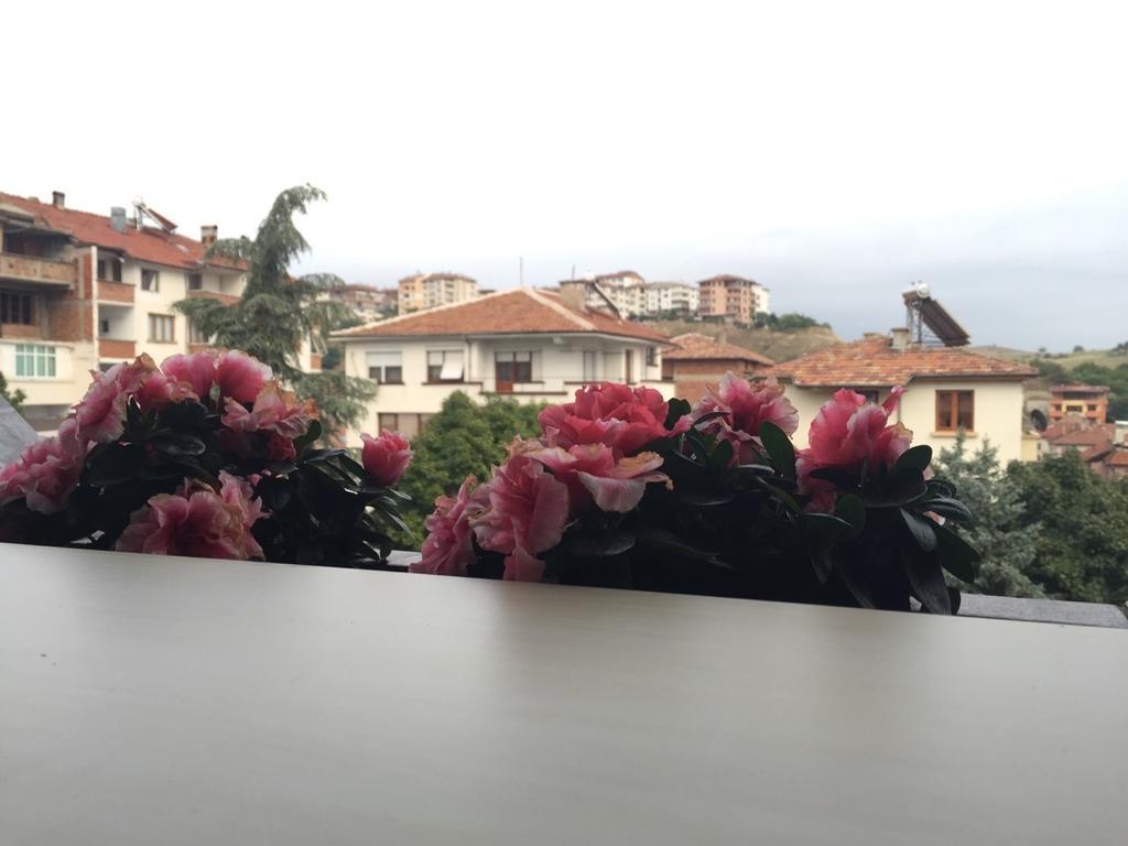 Bora Apartment Sandanski Room photo